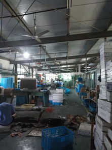 我在温州工厂的一个月 你的生活真的有诗和远方吗