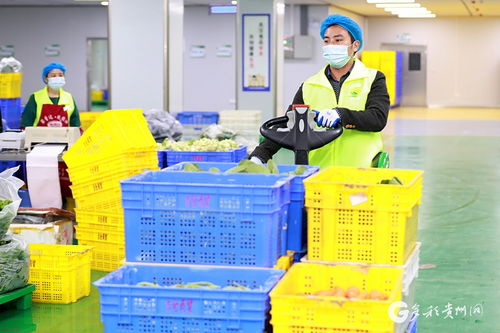 遵义汇川 智慧对接 农产品更畅销