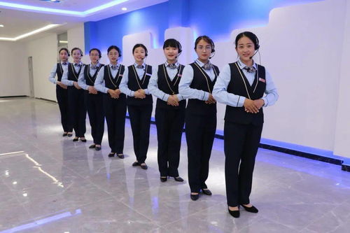 金牌物业的秘密 打造卓越生活服务的泰华之道